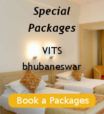 Pilgrimage & Essence of Odisha Packages